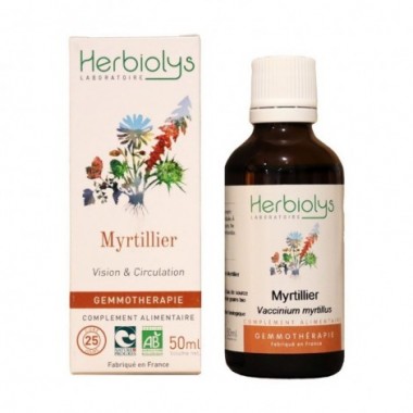 Myrtillier