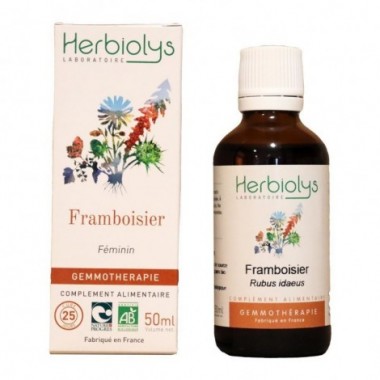 Framboisier