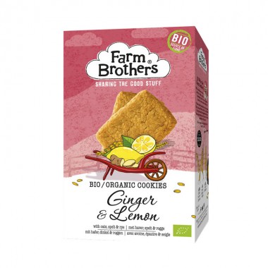 Biscuits gingembre citron