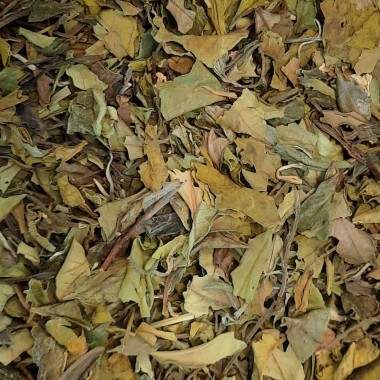 Thé Blanc parfum de toscane...
